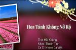 dd0295-hoa-tanh-khong-no-ro