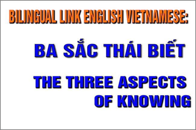 bilingual-link-english-vietnamese-02