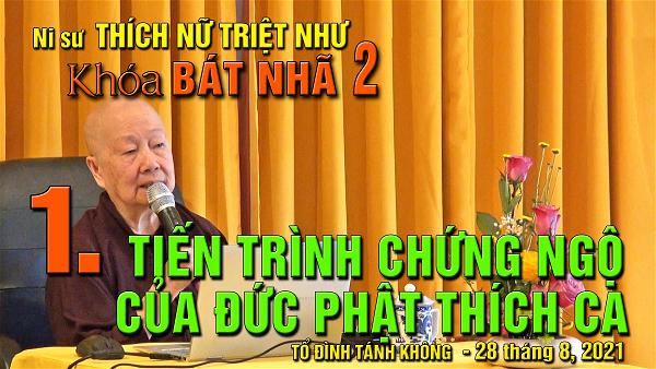 1 TITLE Video BAT NHA 2 cua Ni Su TRIET NHU FOR youtube
