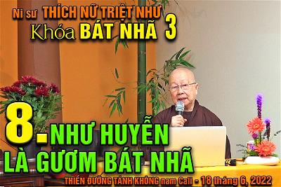 8 TITLE Video BAT NHA 3 cua Ni Su TRIET NHU for WEB